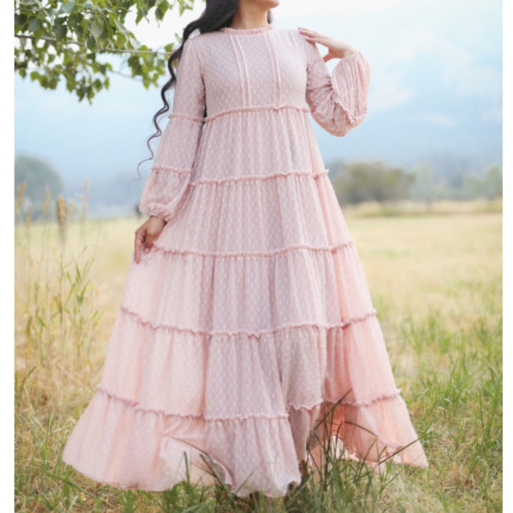 🛑SOLD🛑 Dainty Jewell’s Bella Beauty Dress💗